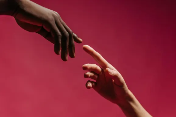 カジノ レッド キングス サポート